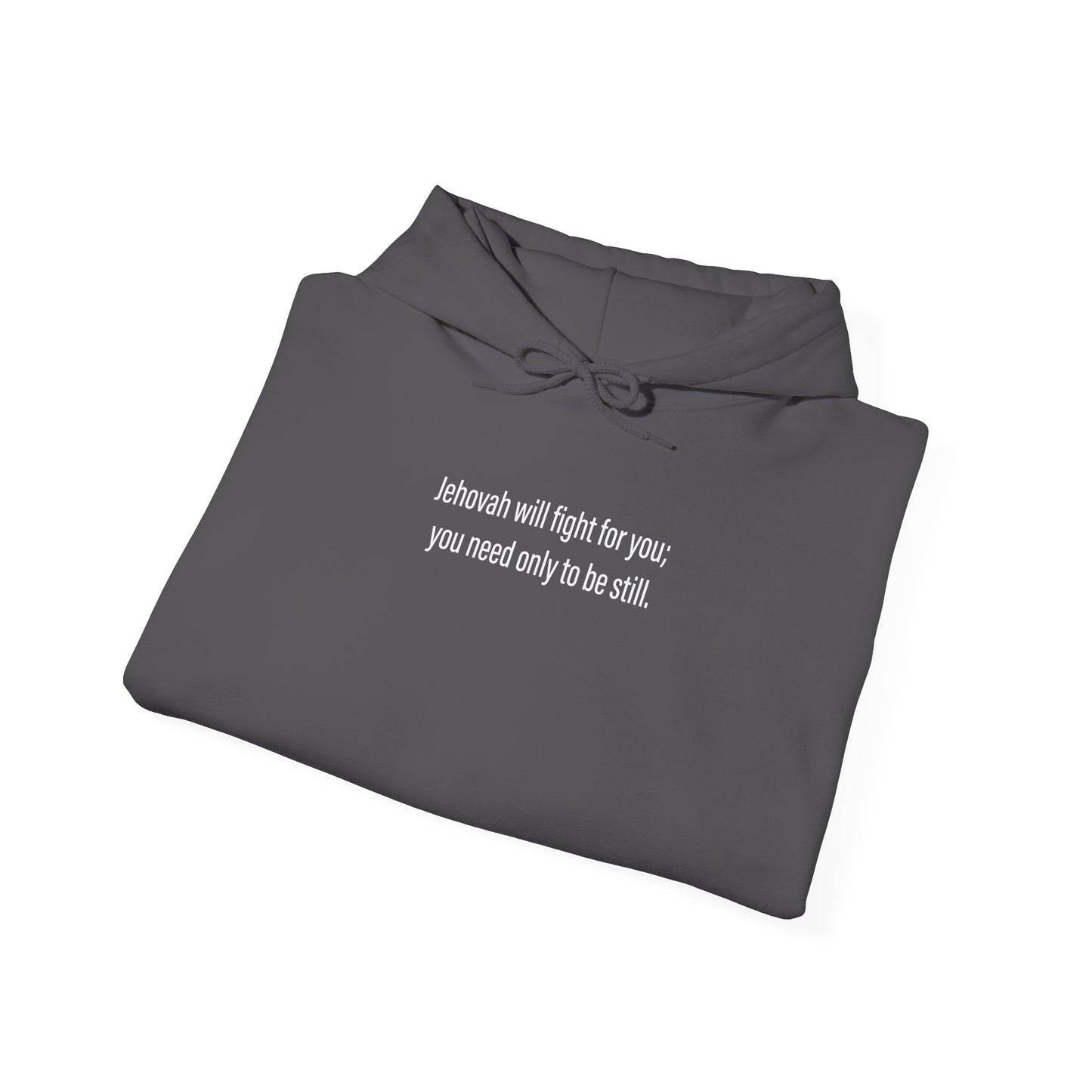 Exodus 14:14 Hooded Sweatshirt