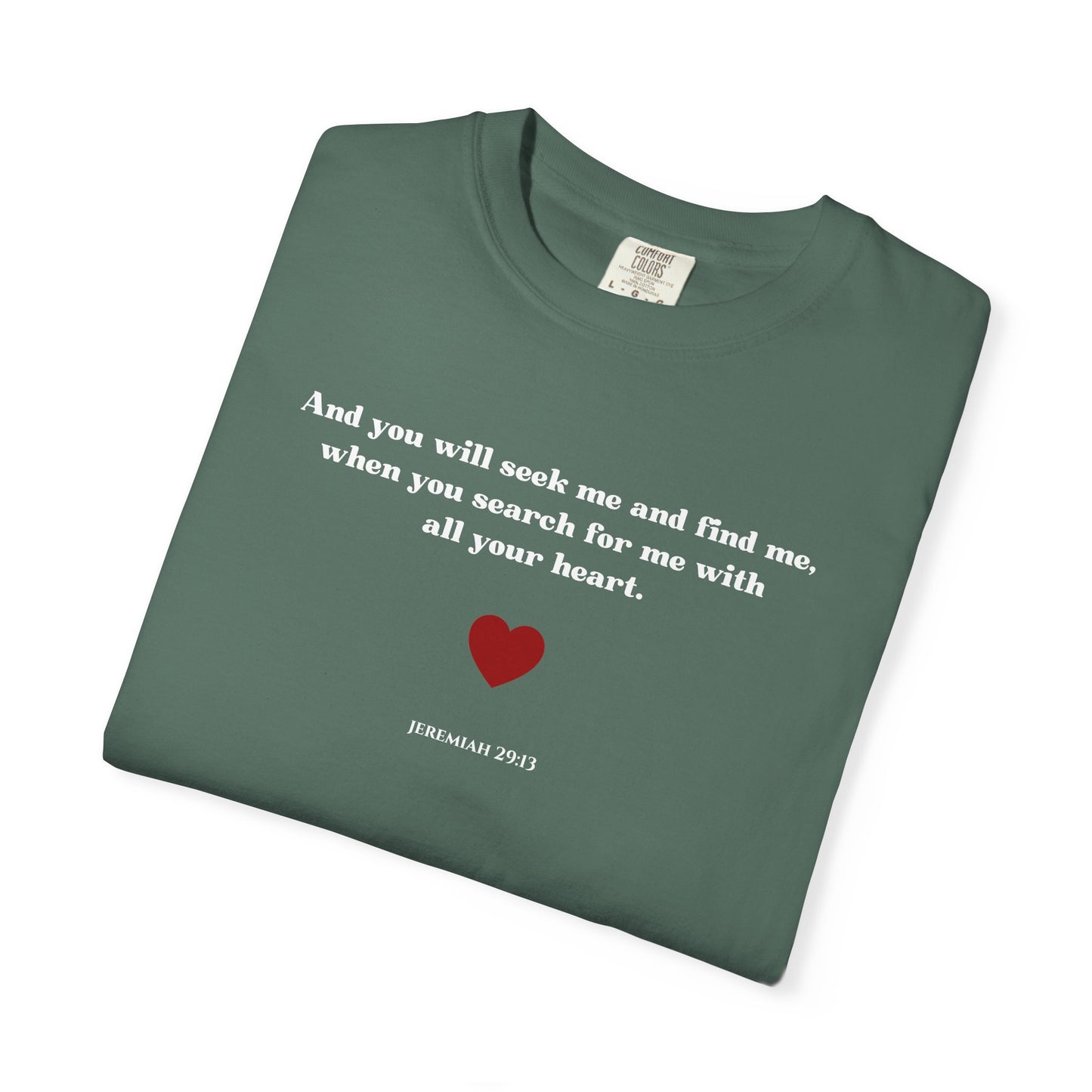 Jeremiah 29:13 T-shirt