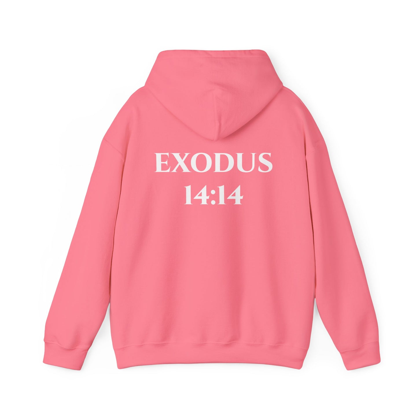 Exodus 14:14 Hooded Sweatshirt