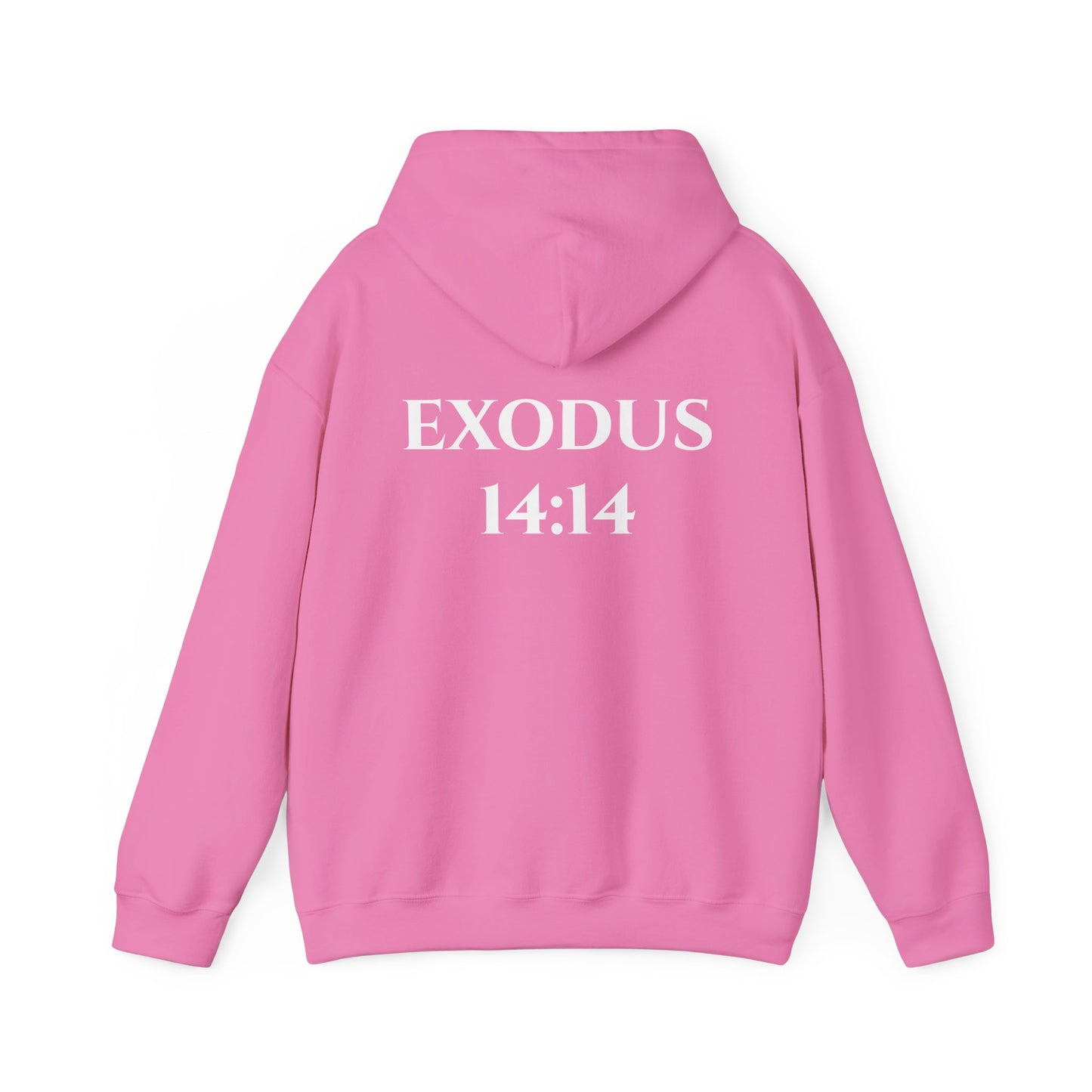 Exodus 14:14 Hooded Sweatshirt