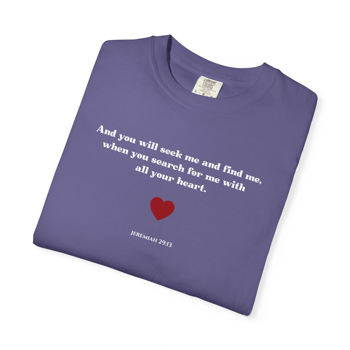 Jeremiah 29:13 T-shirt