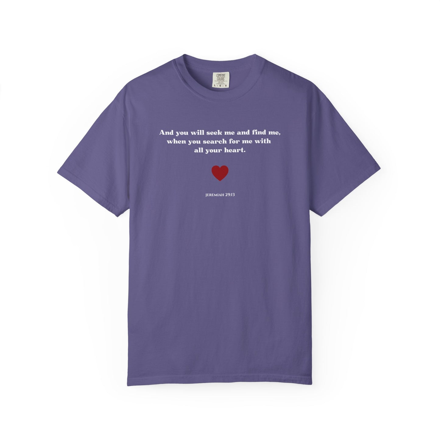 Jeremiah 29:13 T-shirt