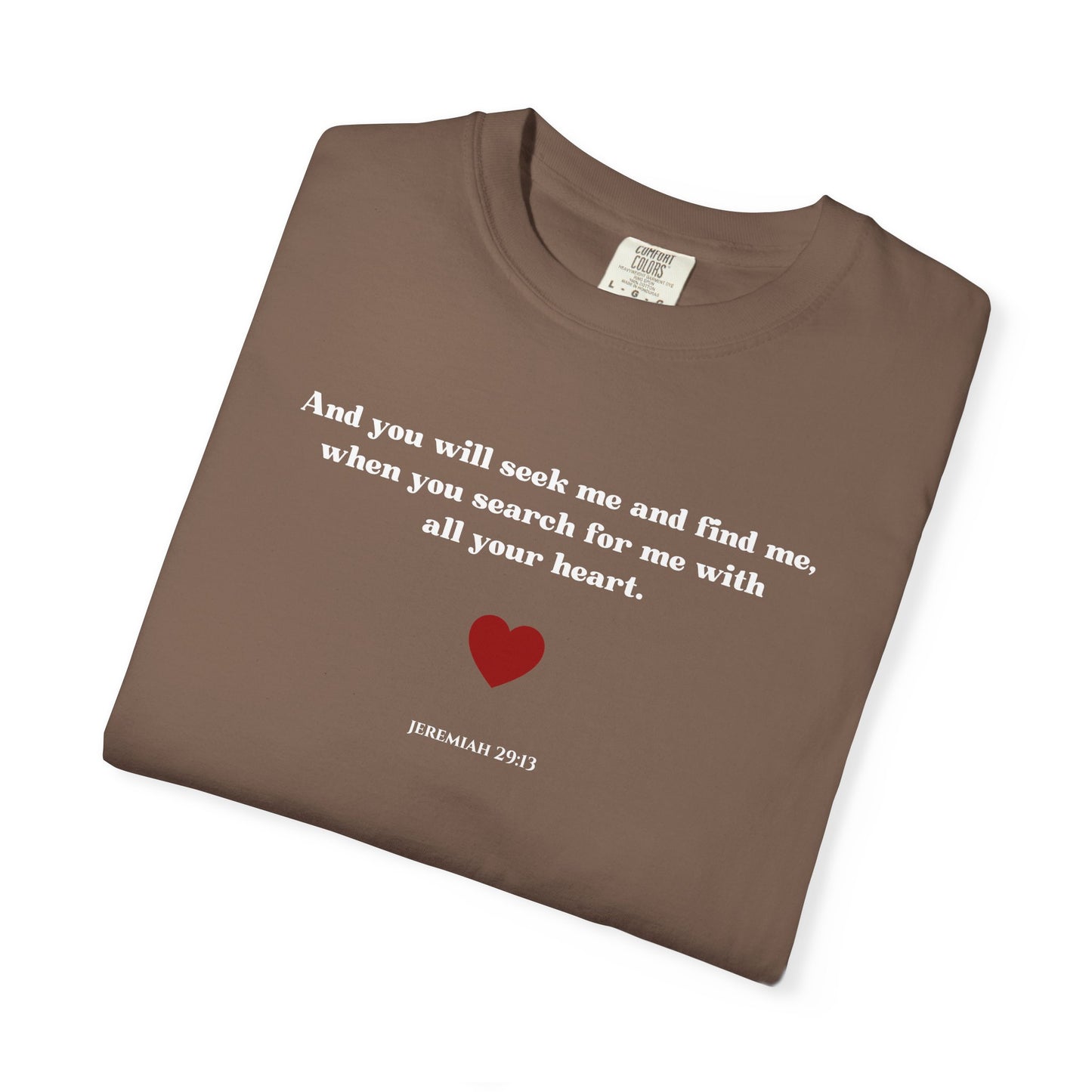 Jeremiah 29:13 T-shirt