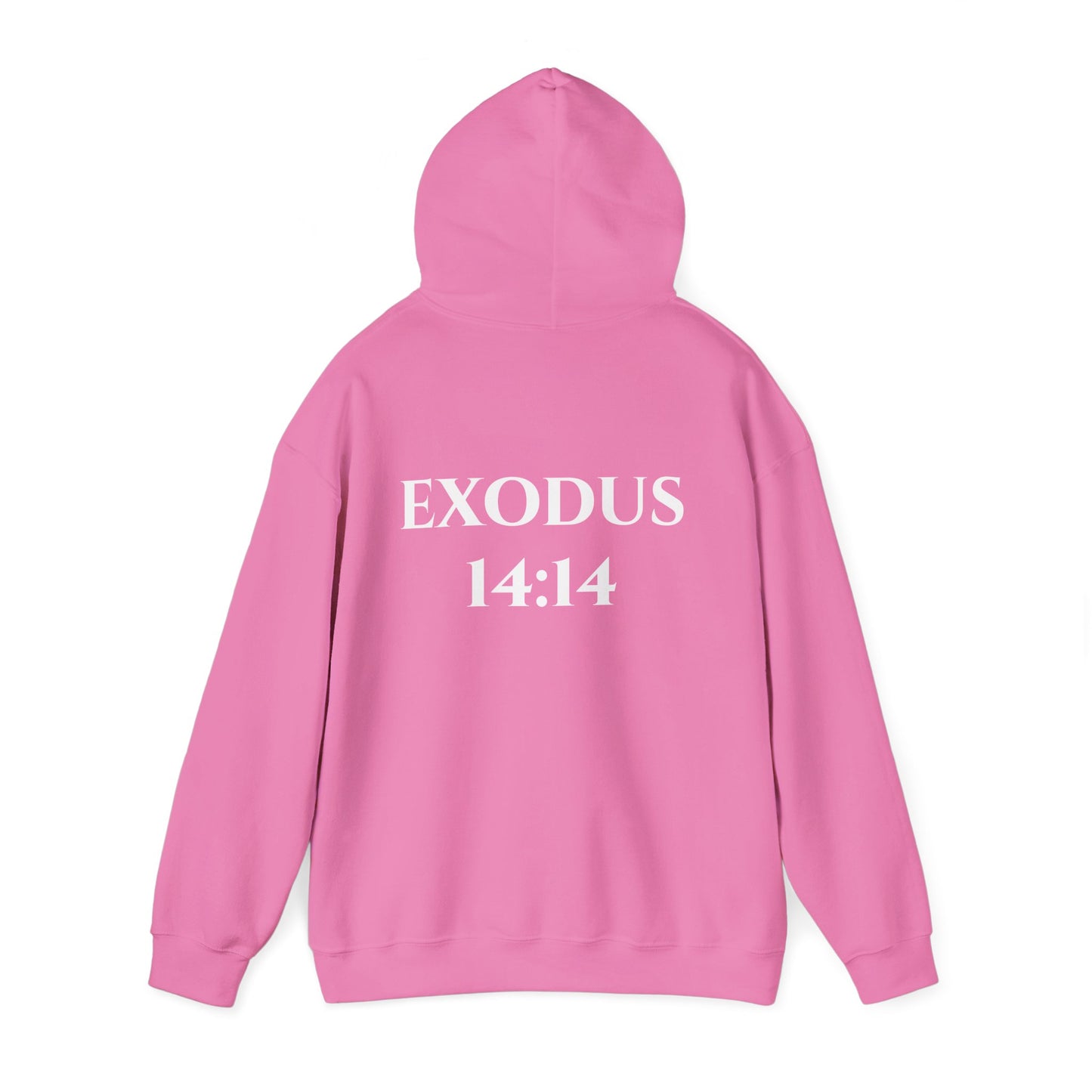 Exodus 14:14 Hooded Sweatshirt