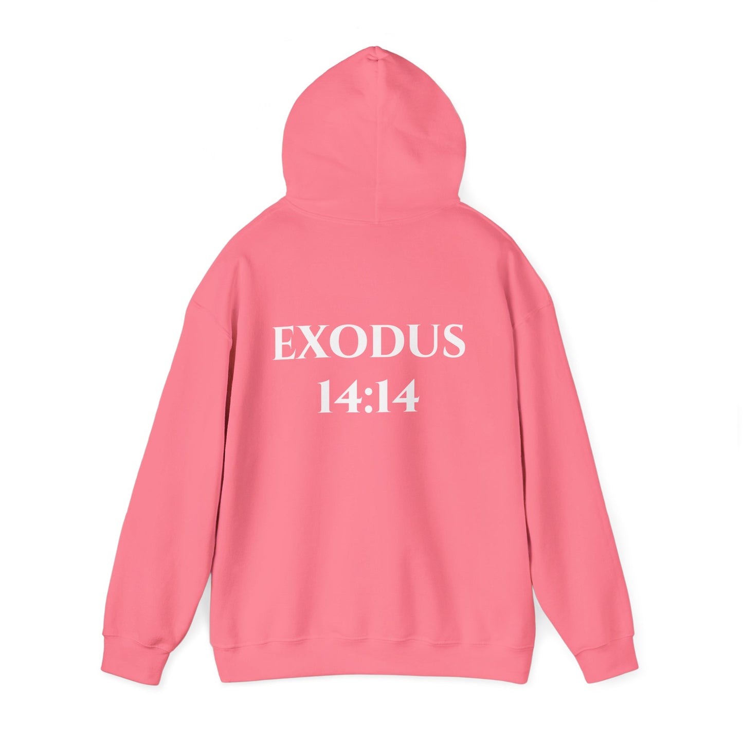 Exodus 14:14 Hooded Sweatshirt
