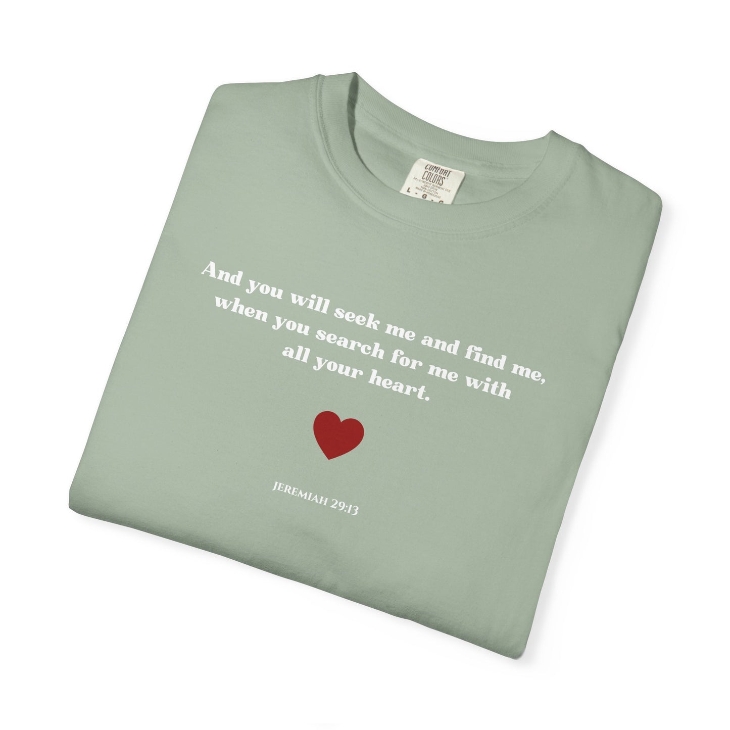 Jeremiah 29:13 T-shirt