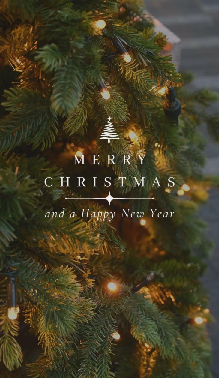 Animated holiday greeting with a lit Christmas tree and text reading ‘Merry Christmas and a Happy New Year.’